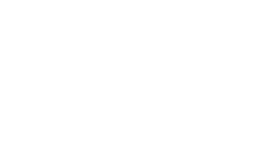 Logo Delta SURVEYS blanc